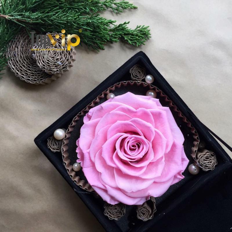 38 Degree Flowers